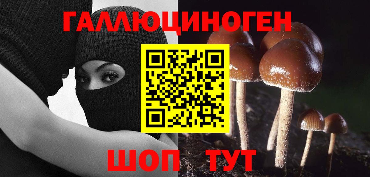 Галлюциногенные грибы Magic Shrooms Саяногорск