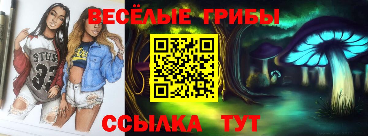 Саяногорск  Псилоцибиновые грибы Magic Shrooms  Вход с VPN  Галлюциногенные грибы Cubensis 
